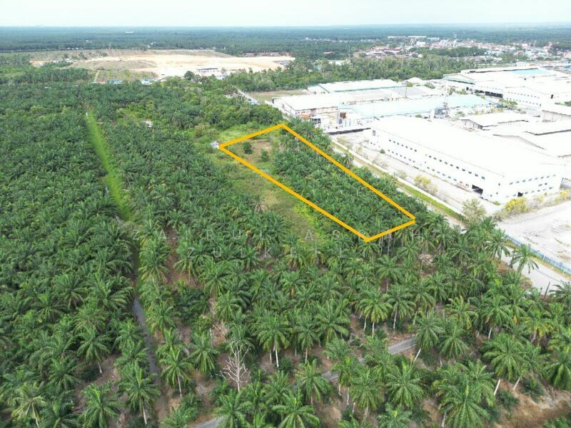 Kuala Selangor STRATEGIC Tanah Pertanian Bukit Badong Bistari Jaya Kuala Selangor - 1