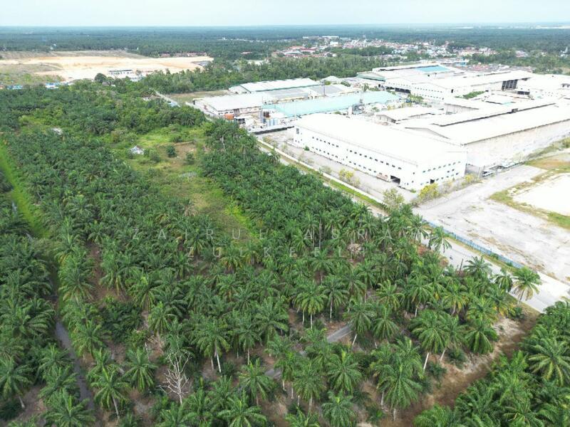 Kuala Selangor STRATEGIC Tanah Pertanian Bukit Badong Bistari Jaya Kuala Selangor - 5