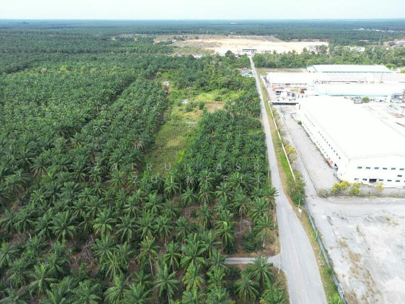 Kuala Selangor STRATEGIC Tanah Pertanian Bukit Badong Bistari Jaya Kuala Selangor - 3