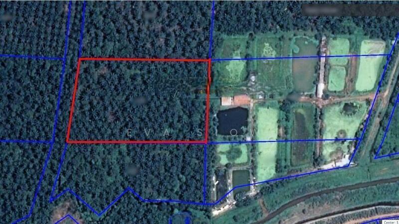 Pekan Nanas Batu 30 - 2