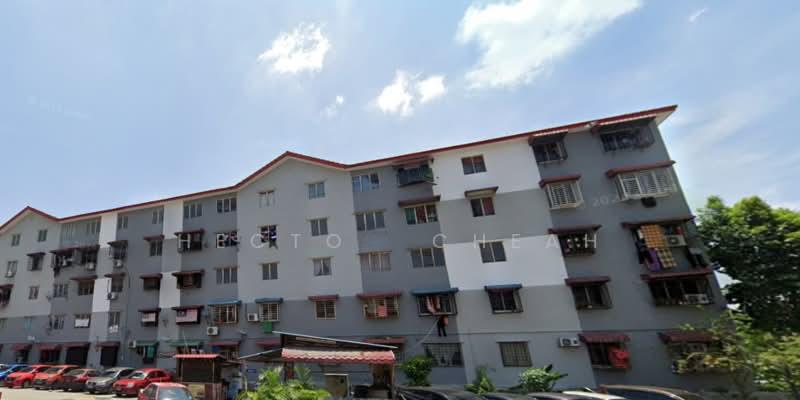 Teratai - 3