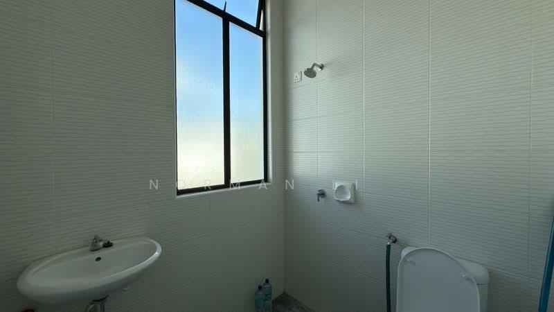 Eco Tropics - 3