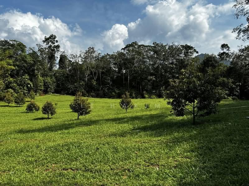 FREEHOLD Agriculture Land – Kuala Kubu Bharu - 3