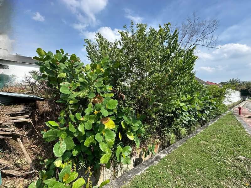 Non Bumi Lot Bungalow Land at Seksyen 7 Shah Alam - 5