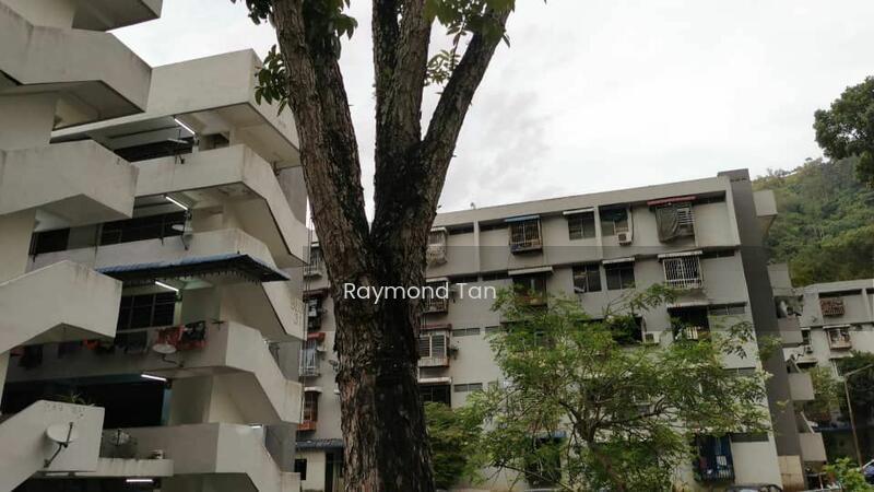 Taman Paya Terubong - 3