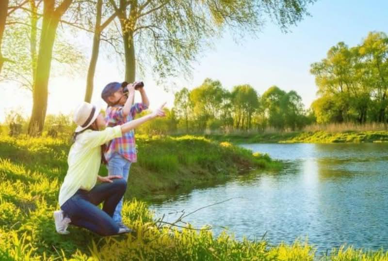 Iskandar Puteri (Nusajaya) - 4