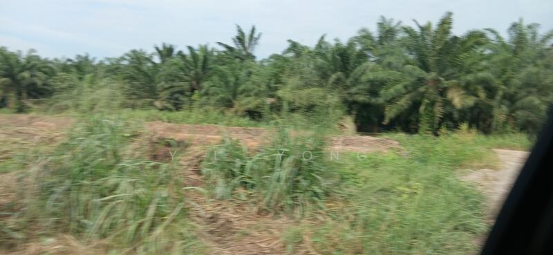 NCT Smart Industrial Park - 1