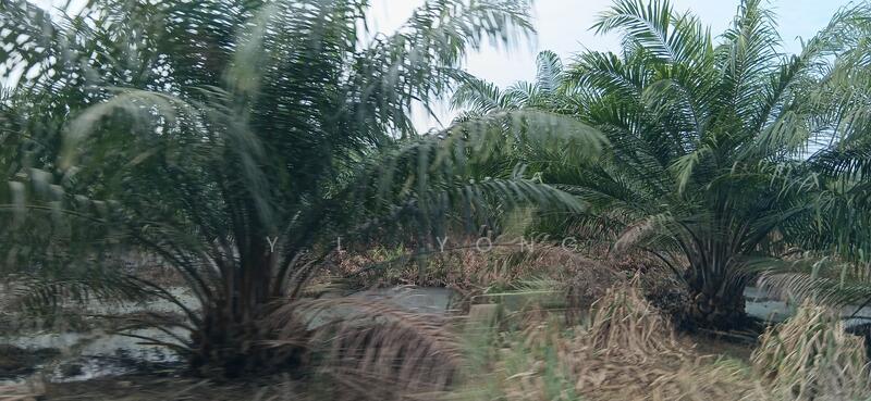 NCT Smart Industrial Park - 5