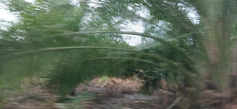 NCT Smart Industrial Park - 4