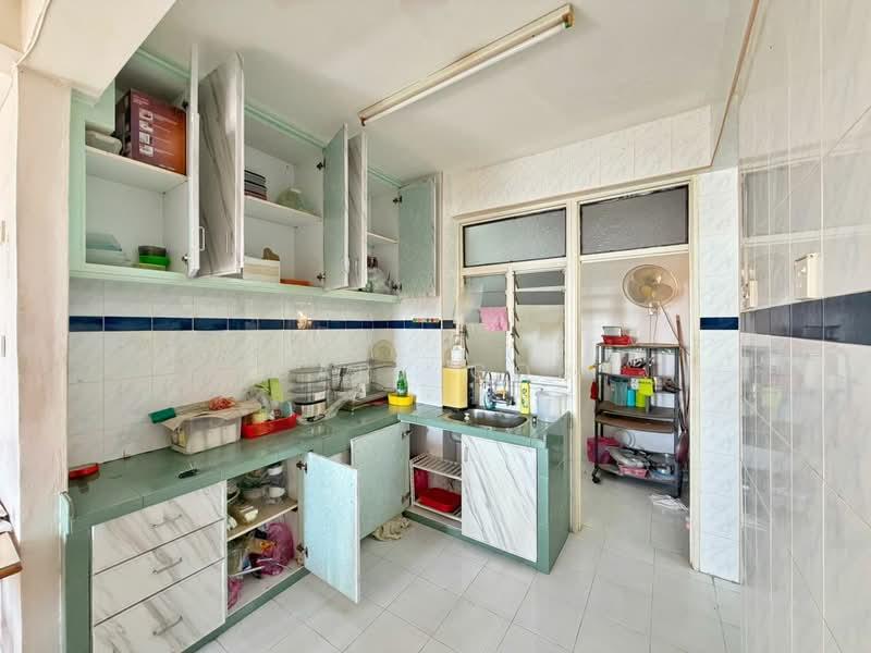 Kingfisher Series - 3