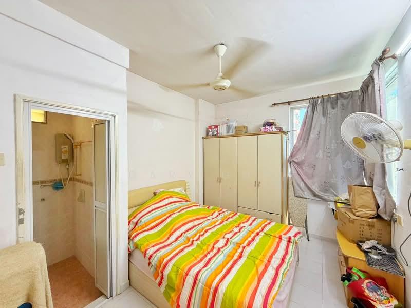 Kingfisher Series - 5