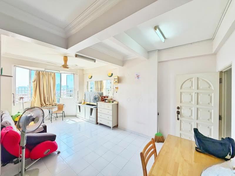 Kingfisher Series - 2