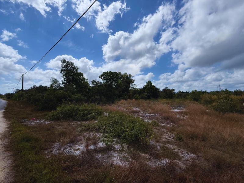 5 Lot Banglo bersaiz 660mยฒ di Kg. Saujana, Setiu - 4