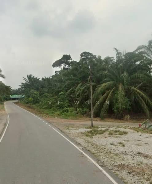 Pekan Nenas Medium Industrial Land - 1