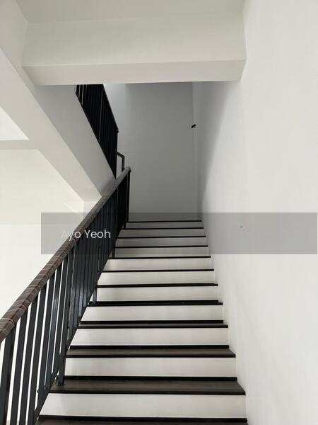 Mellowood, Eco Majestic - 4