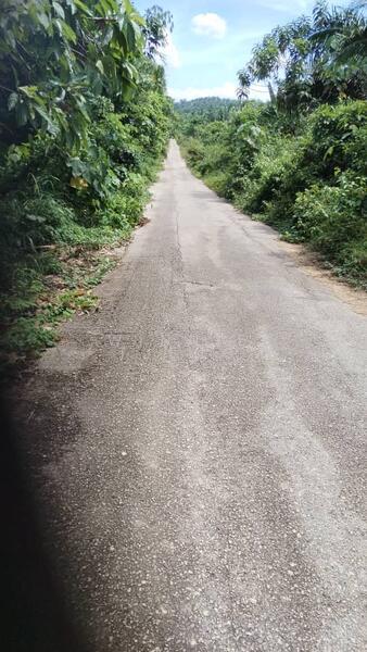 Agriculture land,Perak - 5