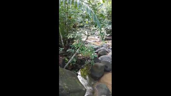 Agriculture land,Perak - 3