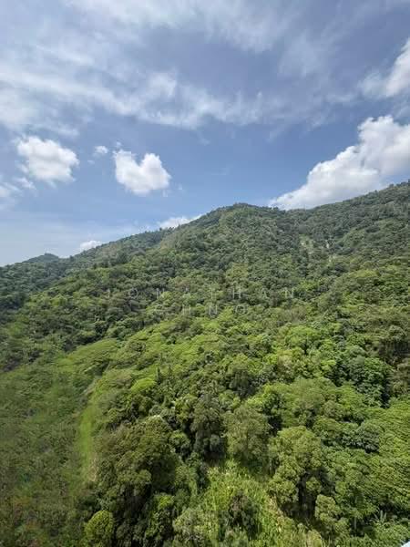 Starhill Luxury Residence - 4