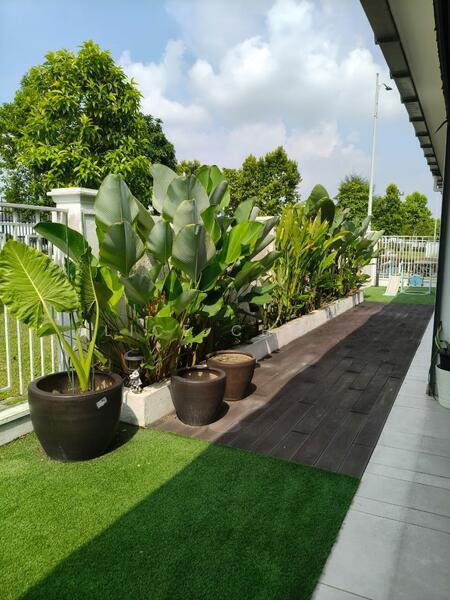 Tenderfields @ Eco Majestic - 2