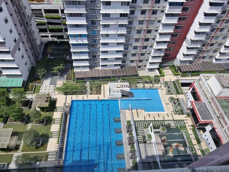 Koi Kinrara - 2