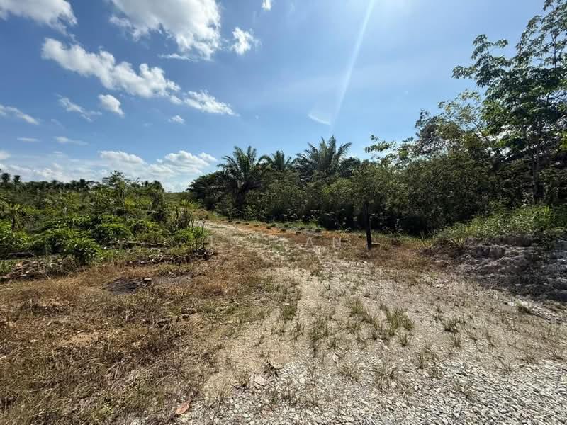 Kampung semanger kota tinggi - 4