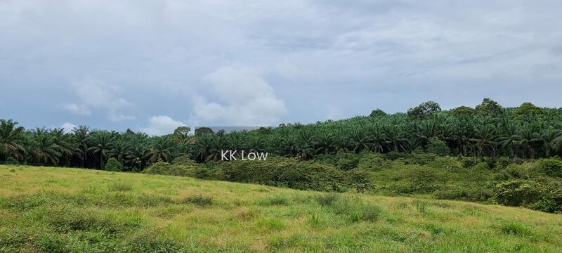 Kampung Serindit - 4