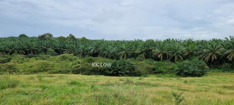 Kampung Serindit - 1