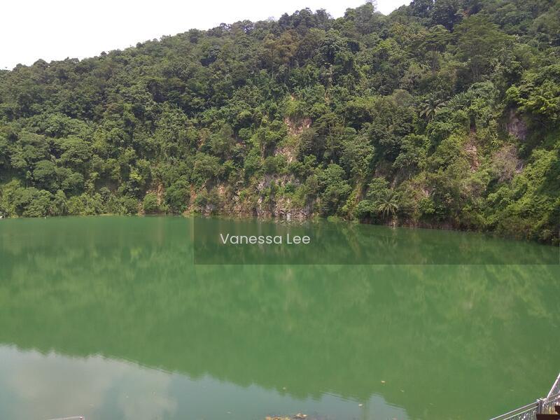 Forest Hill Damansara - 3