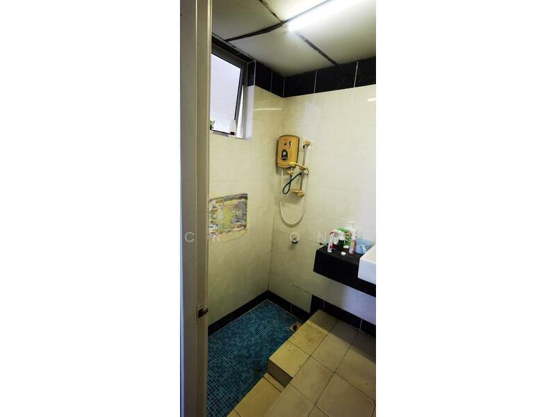 Platinum Hill PV 8 - 3