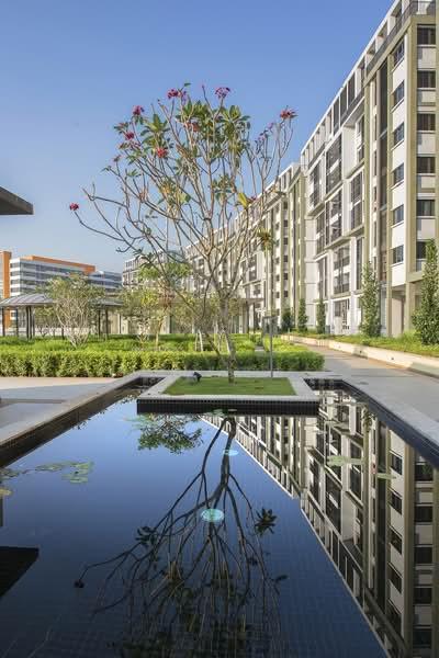 Radia Residences - 4