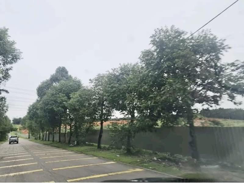 Kulai Kulai Kulais - 1