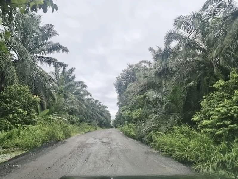 Kulai Kulai Kulais - 3