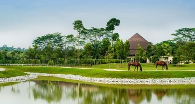 Leisure Farm - 5