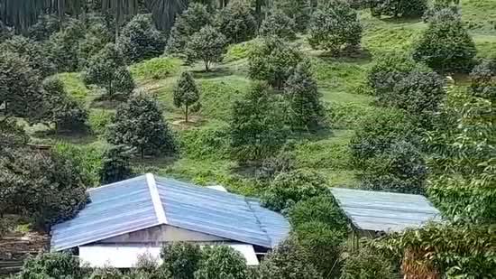 Taman Mambau Baru - 4