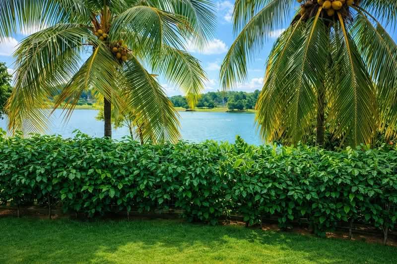 Perdana Lakeview East - 5