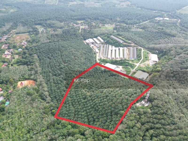 Lendu, Alor Gajah 10acres Freehold Palm Oil Agriculture Land For Sale - 3