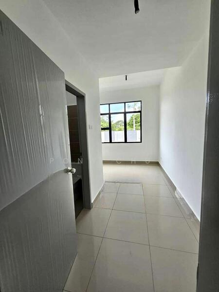 Ponderosa Callista - 1