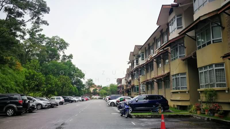 D'Rimba - 5