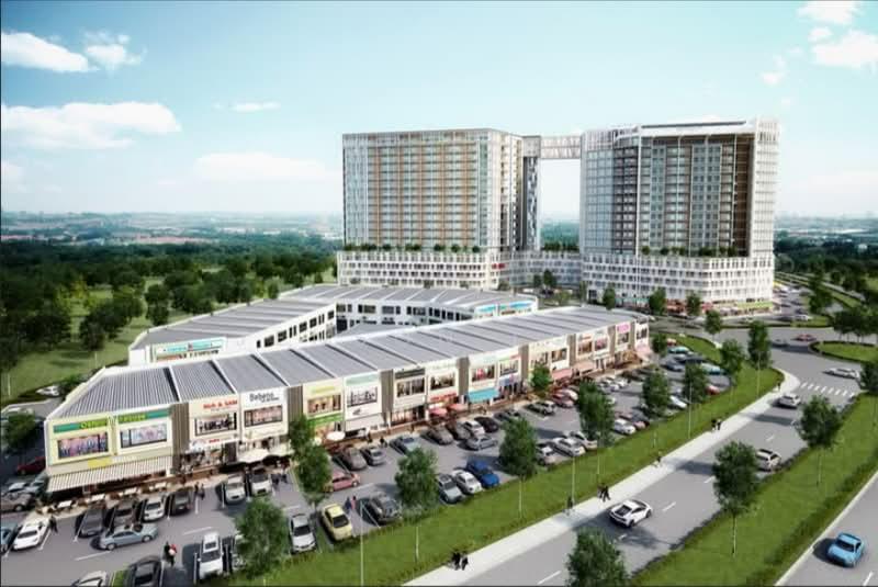 Trivo Suria Jelutong - 2