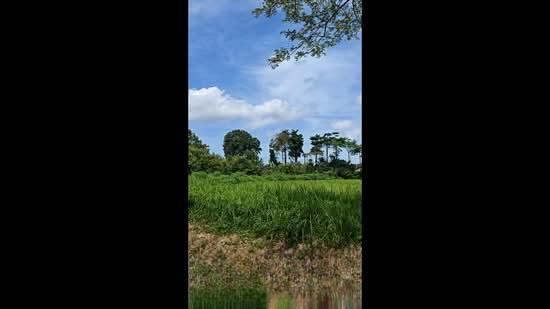 Leisure Farm - 3