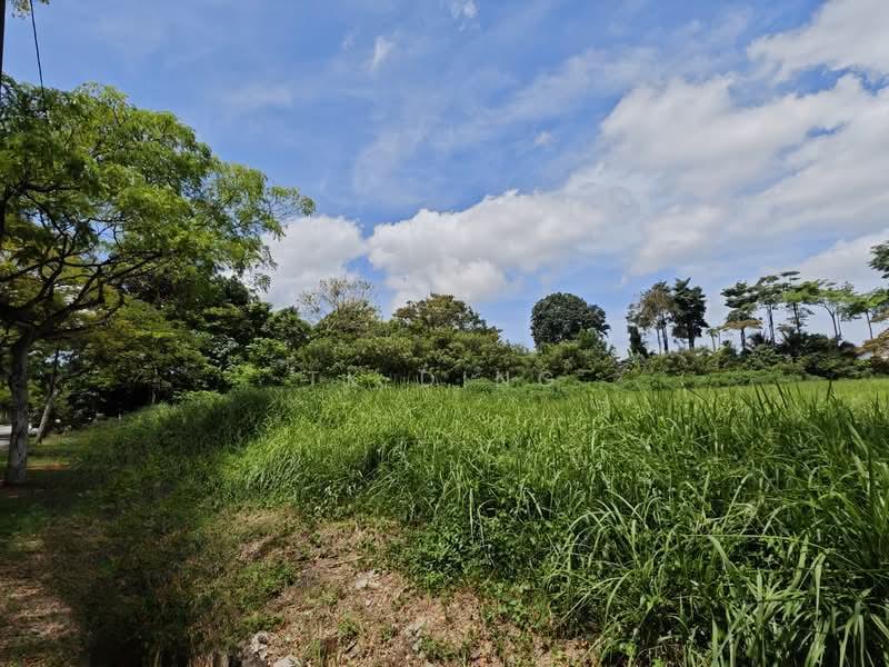 Leisure Farm - 4