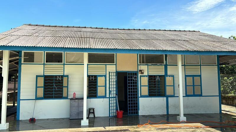 Tampoi Tampoi Tampois - 2