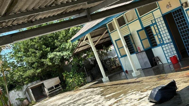 Tampoi Tampoi Tampois - 5