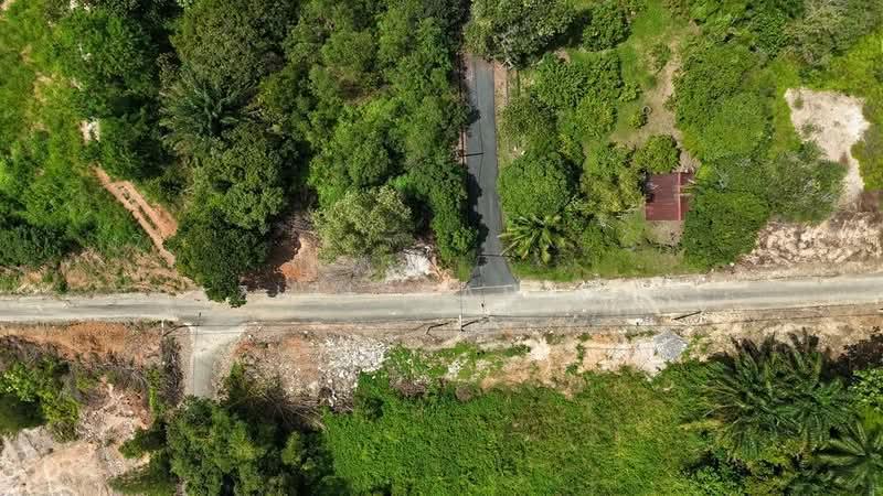Bukit damar - 5