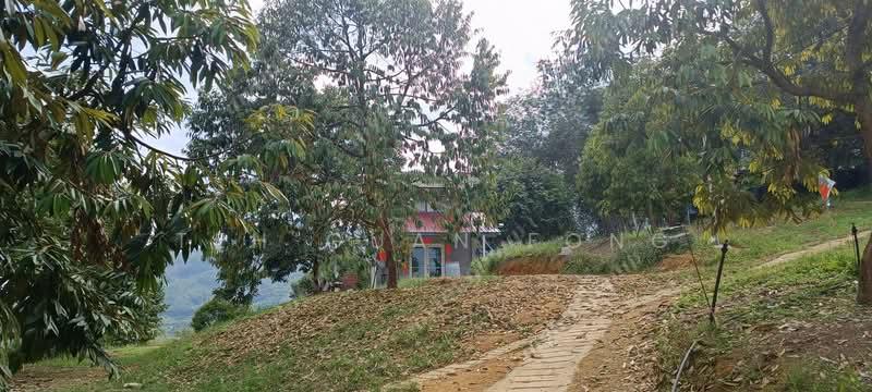 5 acre Agricultural Land | Durian Plantation | Kuala Kangsar | Perak Rm11.94psf - 1