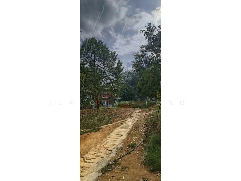 5 acre Agricultural Land | Durian Plantation | Kuala Kangsar | Perak Rm11.94psf - 2