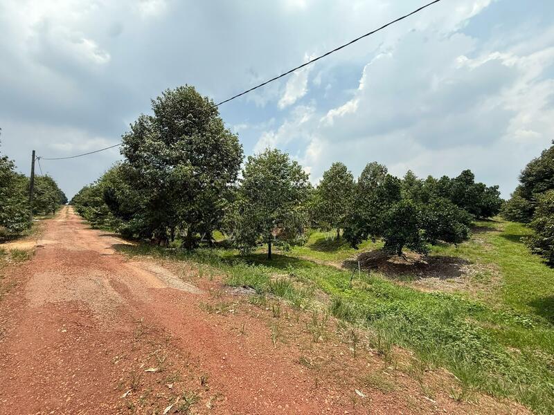 Machap Zoning Industry Land - 2