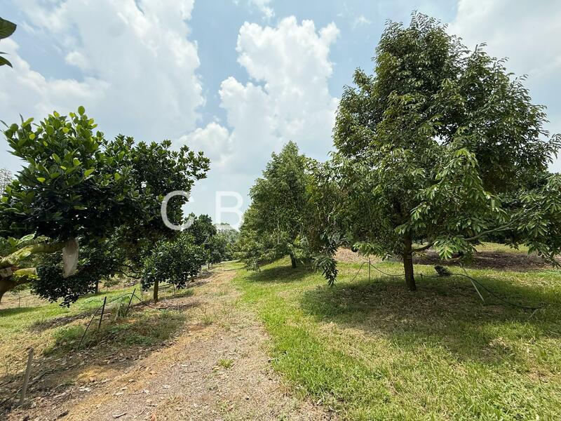 Machap Zoning Industry Land - 3