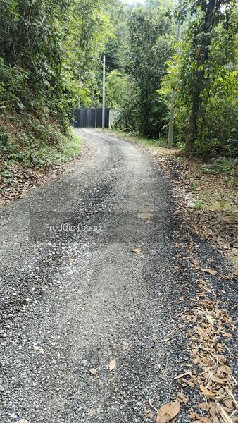 Rasa agriculture land with proper access road via Zurah industrial park - 5