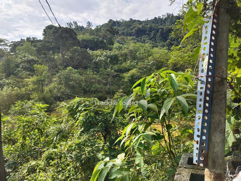 Rasa agriculture land with proper access road via Zurah industrial park - 4